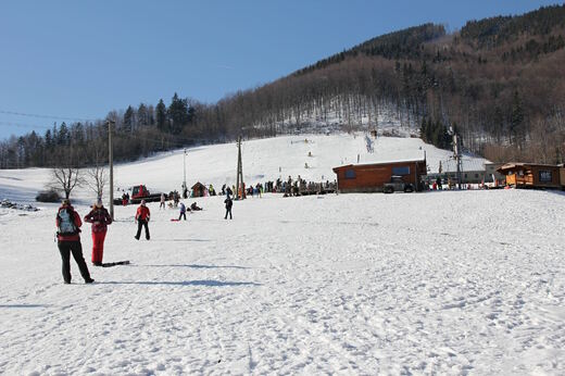 Pstruží - Opálená